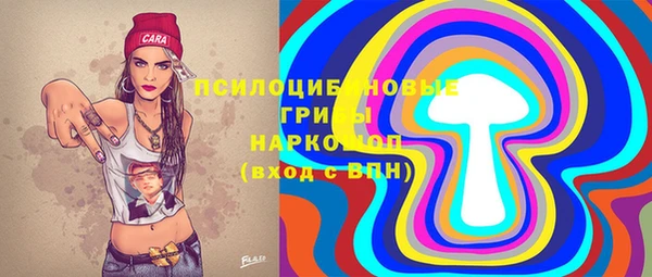 Альфа ПВП Абаза