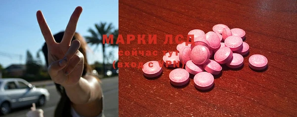 прущие грибы Гусиноозёрск